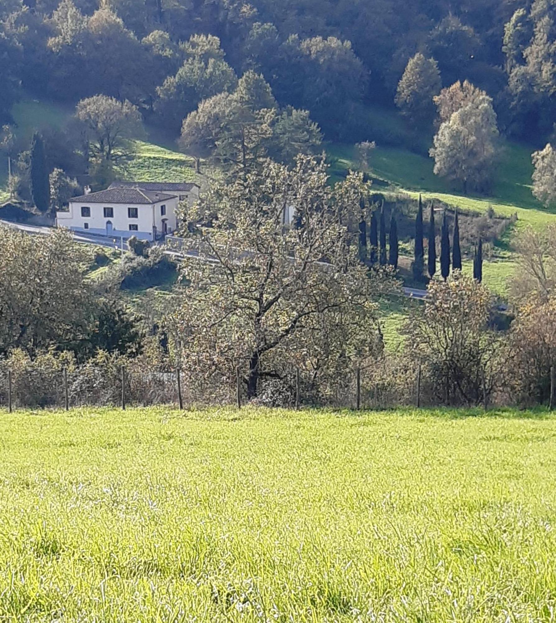 Casa Al Miglio Villa Pratolino Екстериор снимка